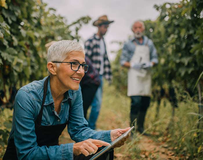 Older woman with digital tablet at plantation of fruit